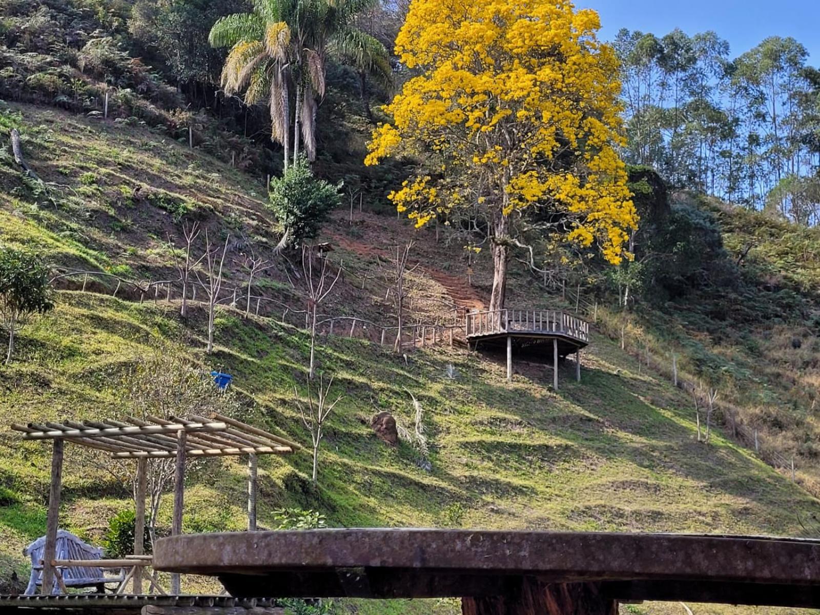 Pousada Recanto Do Ype Aiuruoca Eksteriør bilde