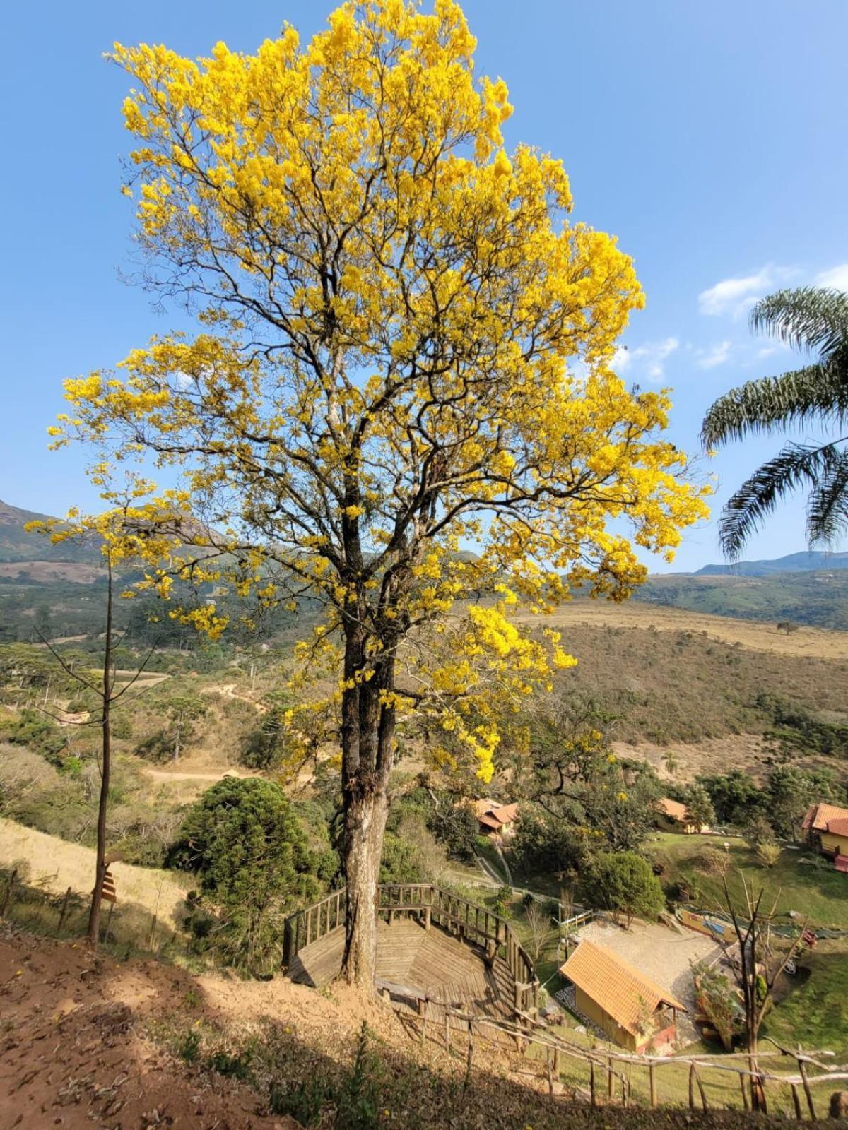 Pousada Recanto Do Ype Aiuruoca Eksteriør bilde